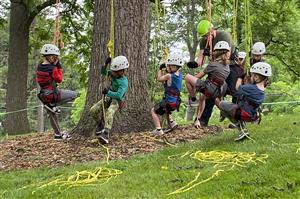 Kids Tree Climbing