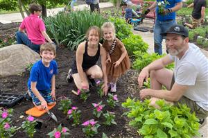 Family planting flowers