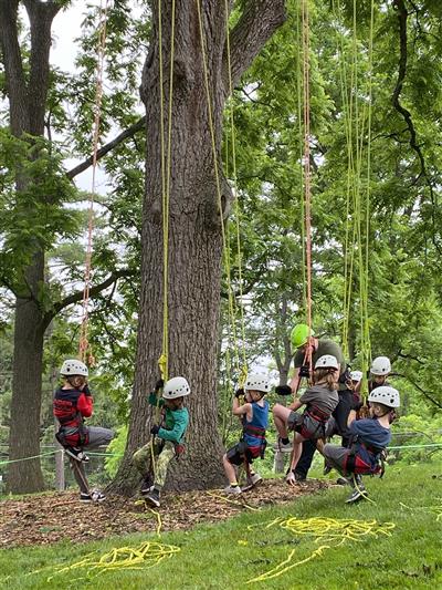 Kids Tree Climbing